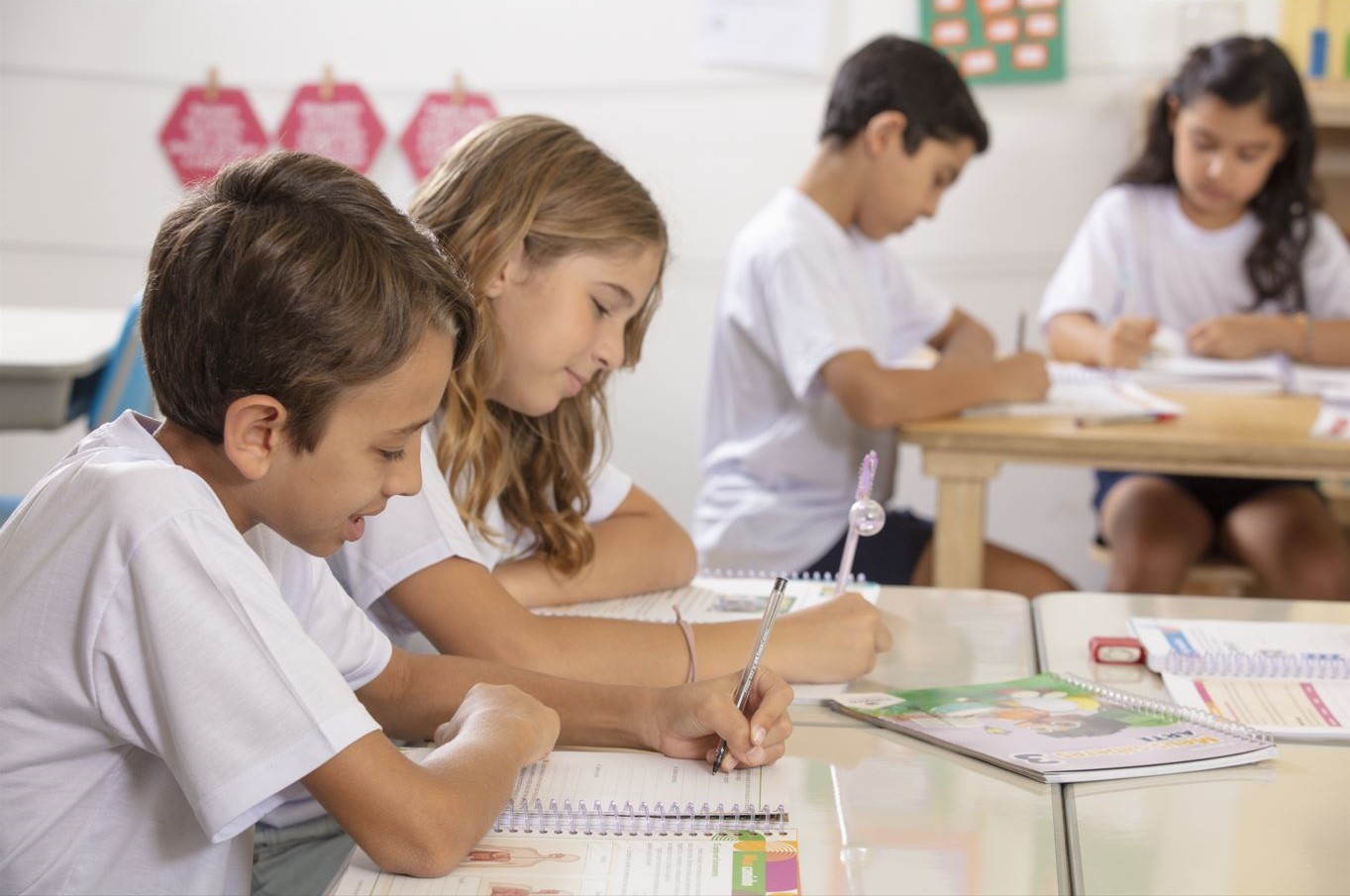 BNCC: habilidades socioemocionais e o papel da escola